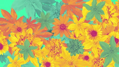 Summer Flowers Background 03 Stock-Footage 293607333