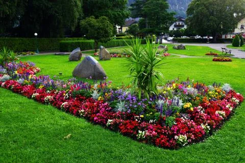 Summer flowers background Stock Photos
