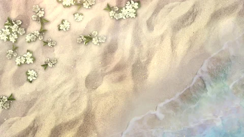 Summer flowers on beach with ocean waves Stock Footage 169718798