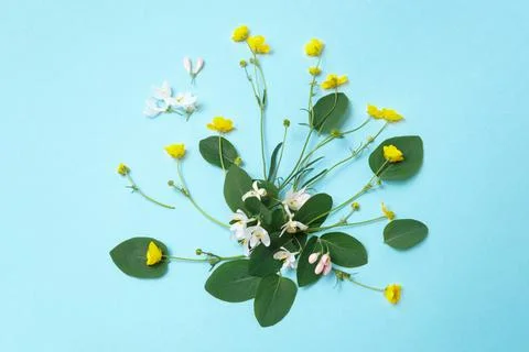 Summer flowers, flat lay Stock Photos
