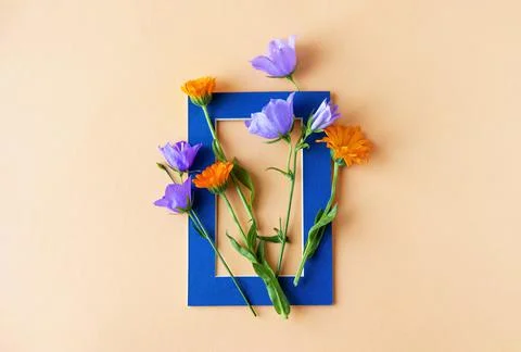 Summer flowers in a frame Stock Photos