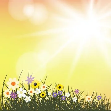 Summer flowers grows in sunlight Stock Illustration