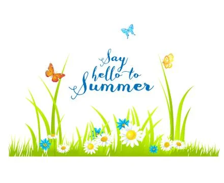 Summer flowers Stock Illustration