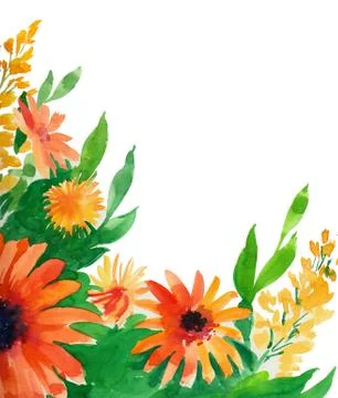 Summer flowers Illustrazione stock
