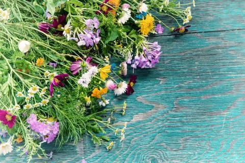 Summer flowers mock up Photos