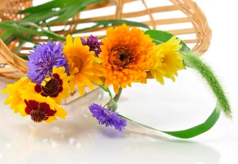 Summer flowers Stock Photos