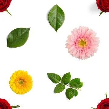 Summer flowers seamless pattern. Gerbera and rose pattern Stock Photos