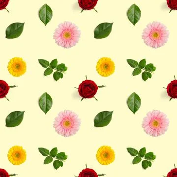 Summer flowers seamless pattern. Gerbera and rose pattern Stock Photos
