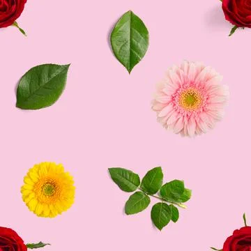 Summer flowers seamless pattern. Gerbera and rose pattern Stock Photos