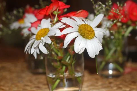 Summer flowers in a small vase Stock Photos