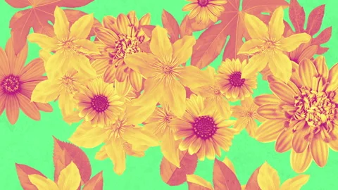 Summer Flowers Textured Background 02 Stock-Footage 293614747