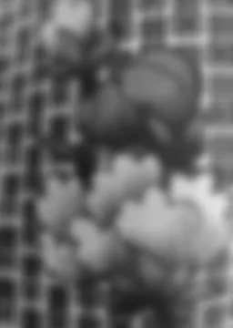 Summer flowers. vintage seamless pattern, Asia style, blooming on white with Stock Photos