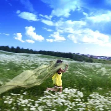 Summer fly Stock Photos