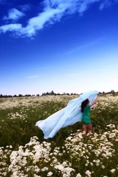 Summer fly Stock Photos