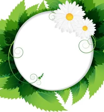 Summer foliage background Stock Illustration