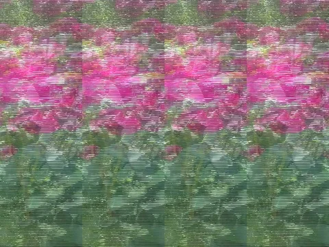 Summer Stock Footage 111771196