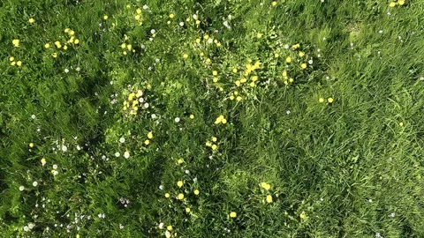 Summer. Video stock 128736056