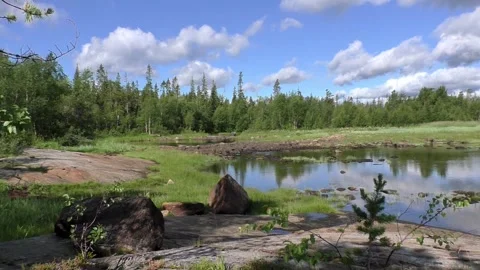 Summer Stock Footage 282813833