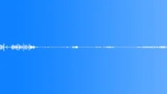 Summer in the Forest - ambient, backgroundSound Effect