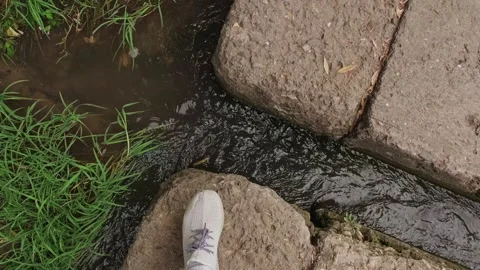 Summer forest and its clear river, woman approaching the stream, view from above Stock Footage 303562456