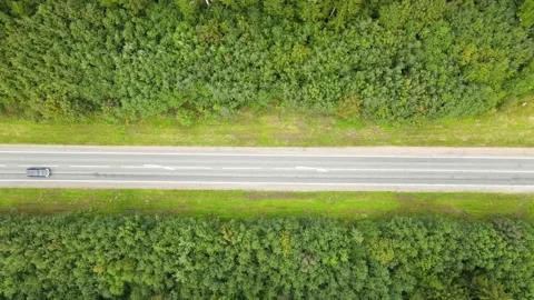Summer forest and road view from above . Automobile road. 4K video from the air Video stock 220300923