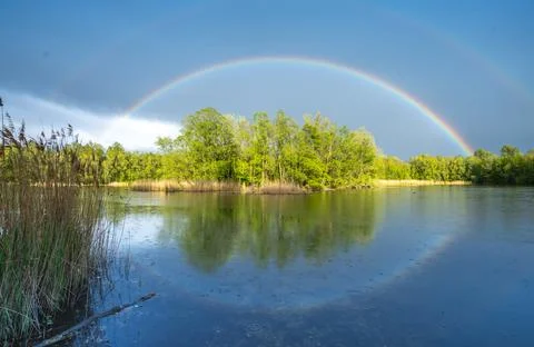Summer forest with beautiful Rainbow 4 Stock Photos