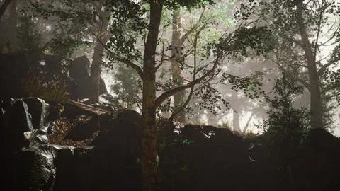 Summer forest with deep fog Illustrazione stock