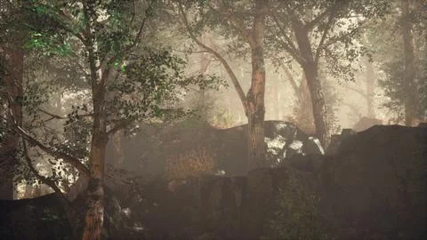 Summer forest with deep fog Illustrazione stock