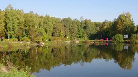 Summer Forest Lake Stock Footage 43970073