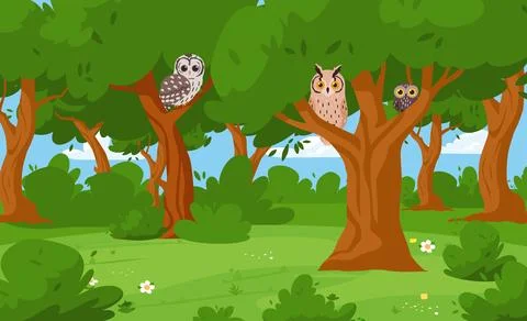 Summer forest with owls sitting on tree branches, cartoon vector illustration. Illustrazione stock
