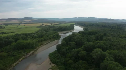 Summer forest, river, mountains, fields 스톡 동영상 239319087