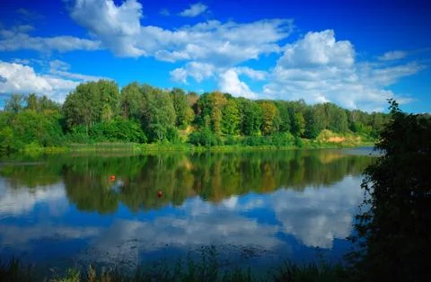 Summer forest river reflections background Foto stock