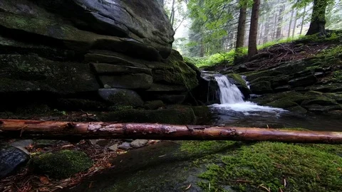 Summer forest stream Stock Footage 112338802