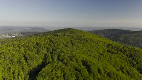 Summer forested mountains in Poland Stock Footage 296376740