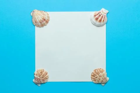 Summer frame. Paper frame for your text and seashells on a gentle blue backgr Stock Photos