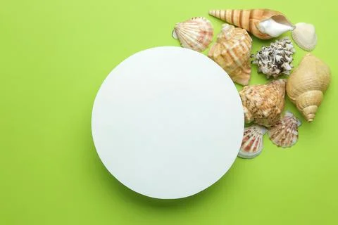 Summer frame. Paper frame for your text and seashells on a bright green backg Stock Photos