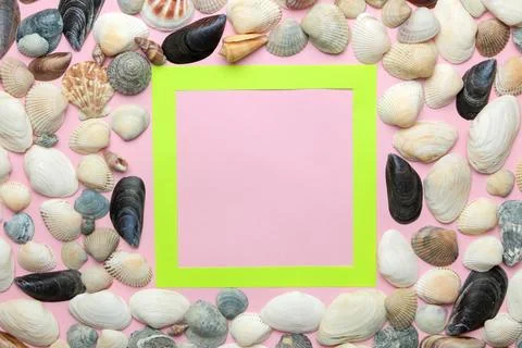 Summer frame. Paper frame for your text and seashells on a gentle pink backgr Stock Photos