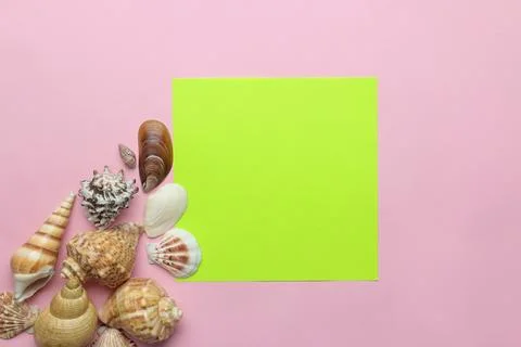 Summer frame. Paper frame for your text and seashells on a gentle pink backgr Stock Photos