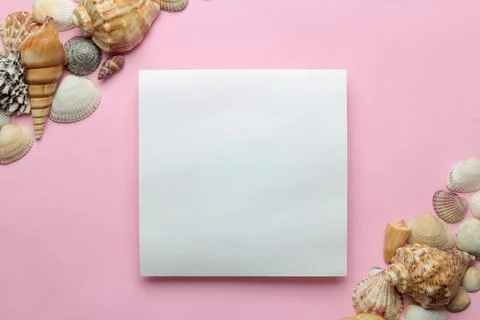 Summer frame. Paper frame for your text and seashells on a gentle pink backgr Stock Photos