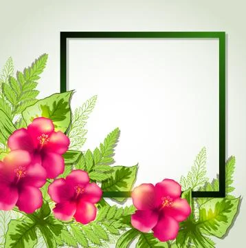 Summer frame with red flowers Stock Illustration