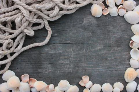 Summer frame with seashells and rope on a rough dark wooden background Stock Photos