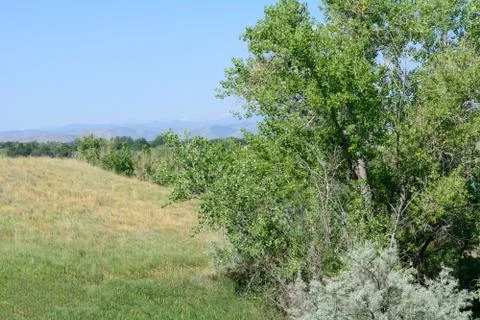 Summer Front Range landscape looking towards Rocky Mountains Stock Photos