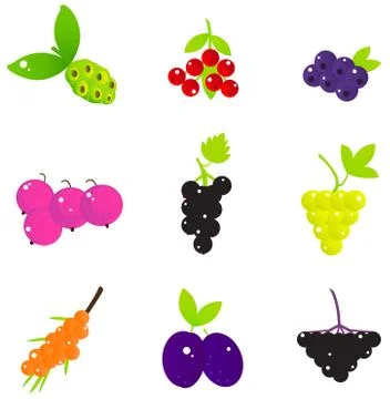 Summer Fruit and Berries set isolated on white Stock Illustration