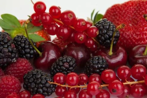 Summer fruit background Stock Photos