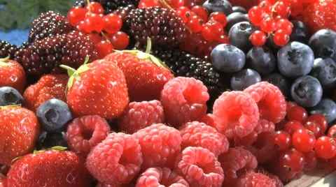 SUMMER FRUIT 動画素材 59004865