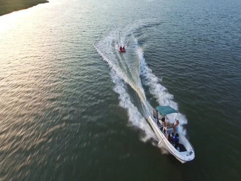 Summer Fun Vídeo Stock 77174001