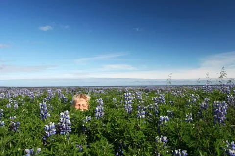 Summer fun Foto stock