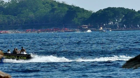 Summer Fun at the Seaside Stock Footage 80475710