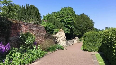 Summer garden Stock-Footage 72373839