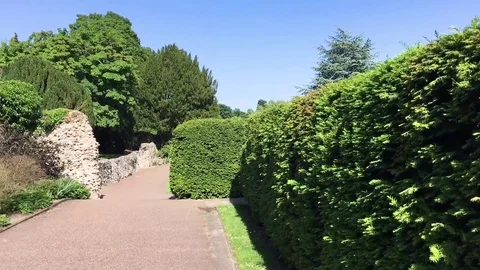 Summer garden Stock Footage 72373858